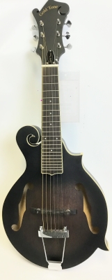 GOLDTONE F-STYLE MANDITAR W/P/U & CASE